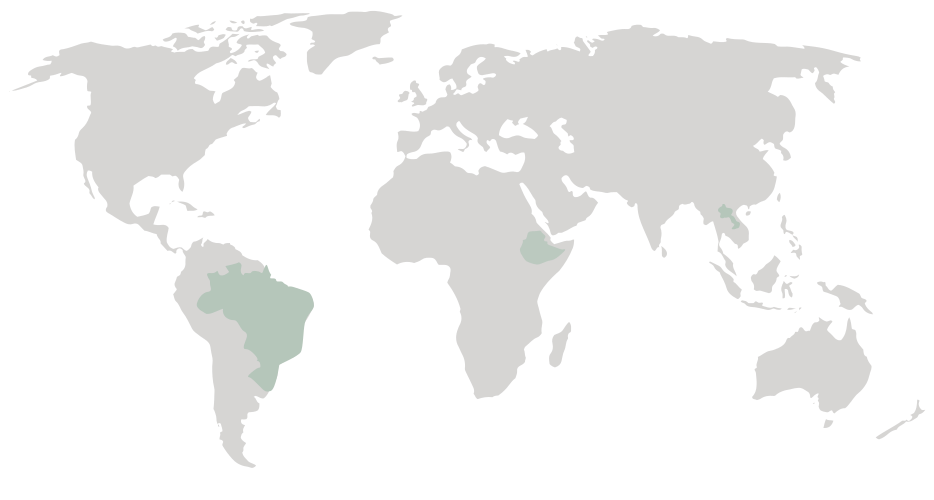 世界地图 - 巴西，埃塞俄比亚，老挝
          